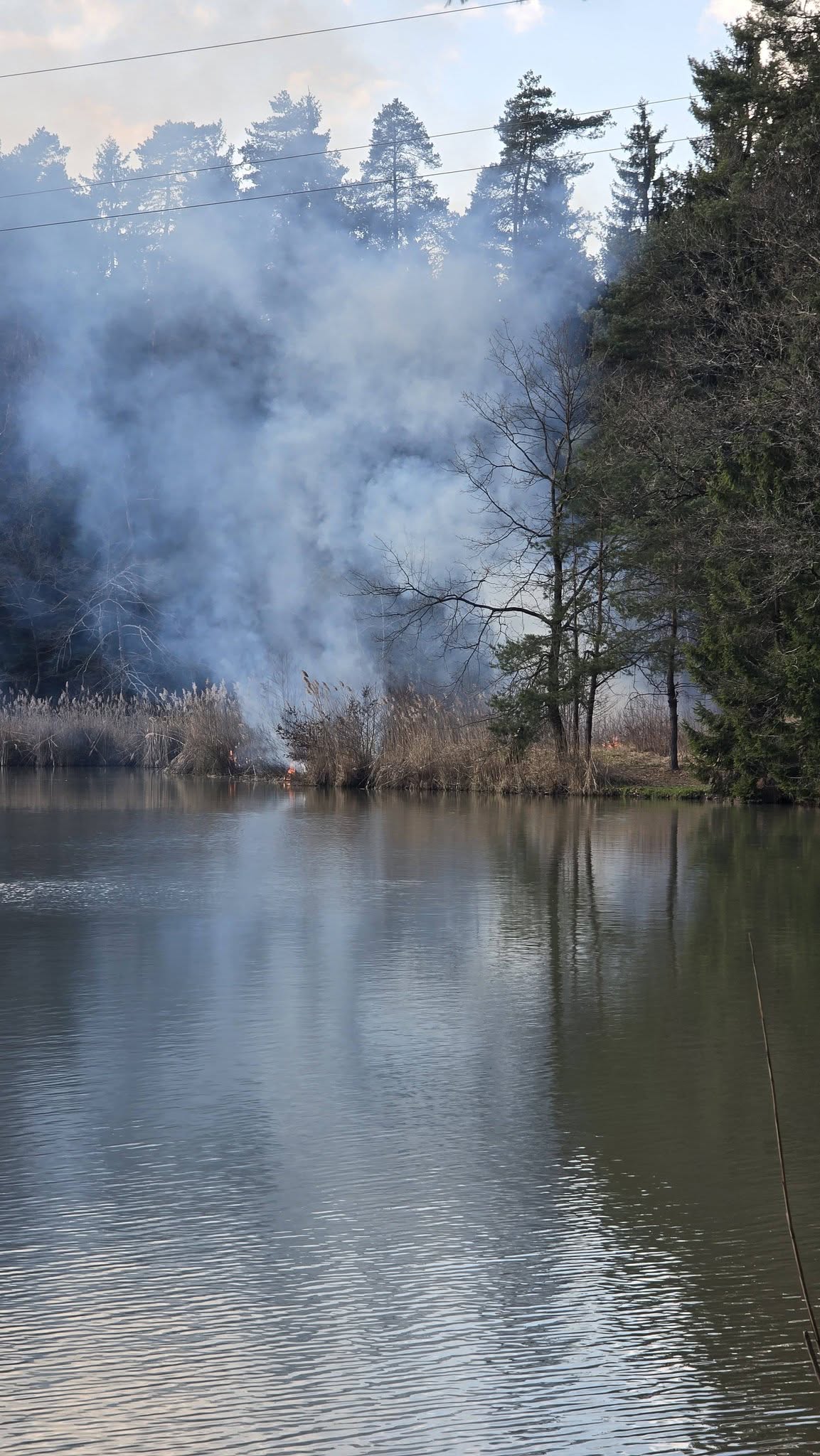 Požar ob ribniku Želodnik